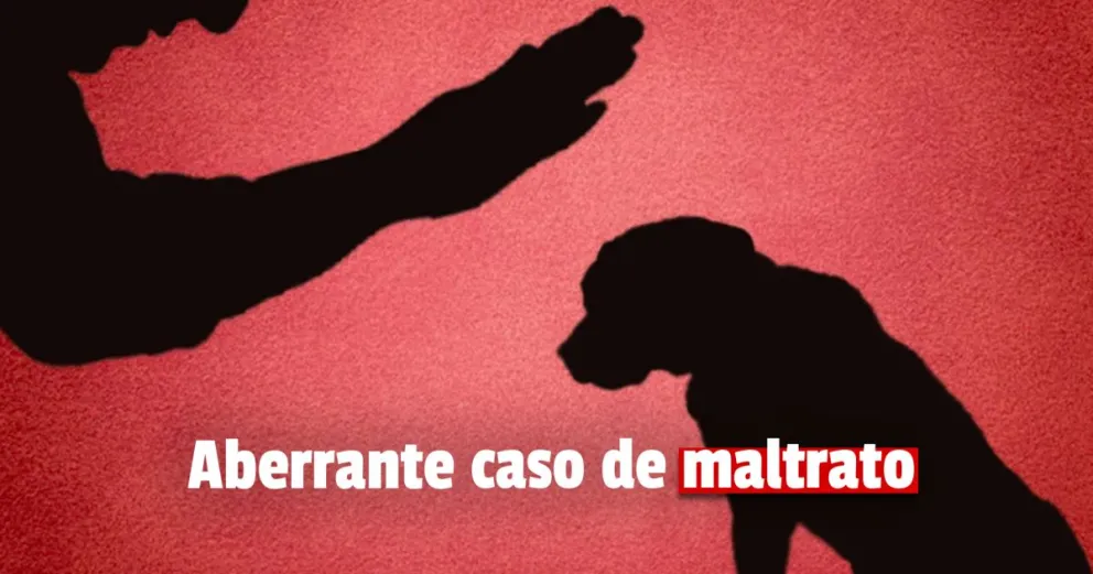 Un menor se grabó golpeando a su perro  y causó repudio en todo el país