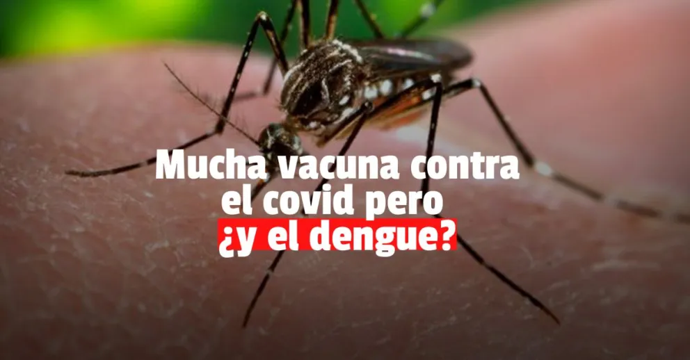 Se viene la vacuna contra el dengue: ¿Qué opinan en San Juan?