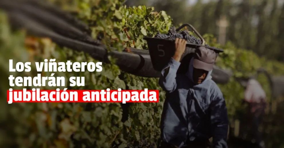 Aprobaron el proyecto de jubilación anticipada para los trabajadores viñateros