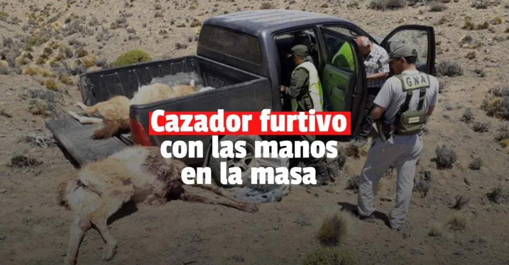 Un hombre se metió a una reserva natural a cazar guanacos