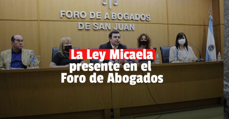 Importante capacitación sobre la Ley Micaela en el Foro de Abogados ...