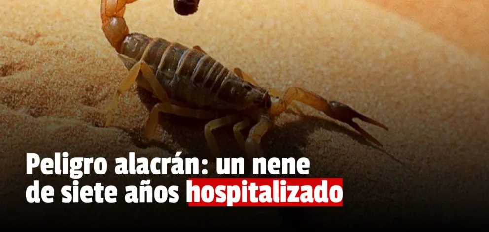Un nene de siete años fue picado por un alacrán 