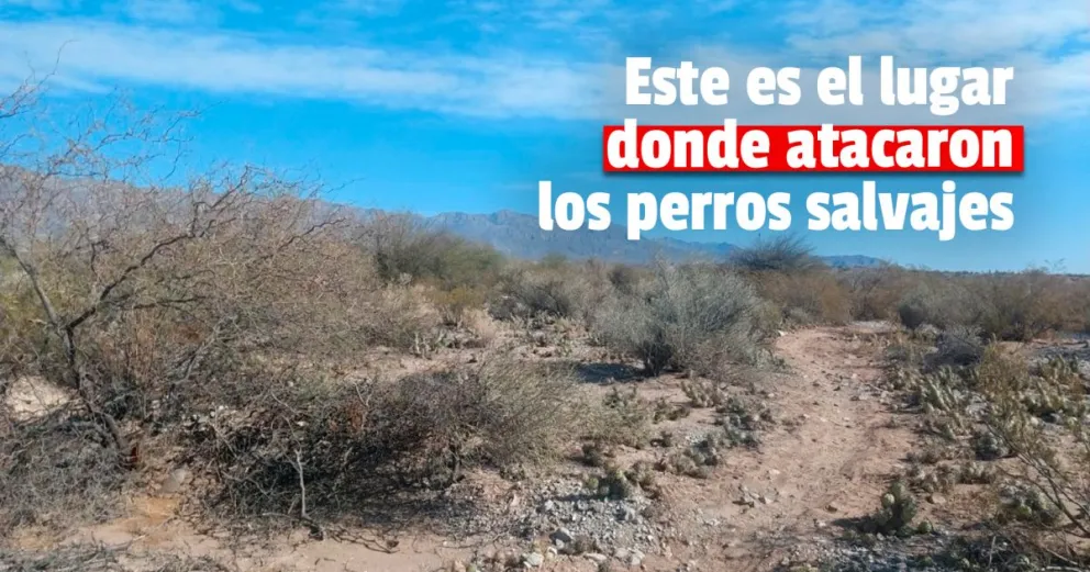 Gran operativo para encontrar a los perros que mataron a Florencia 