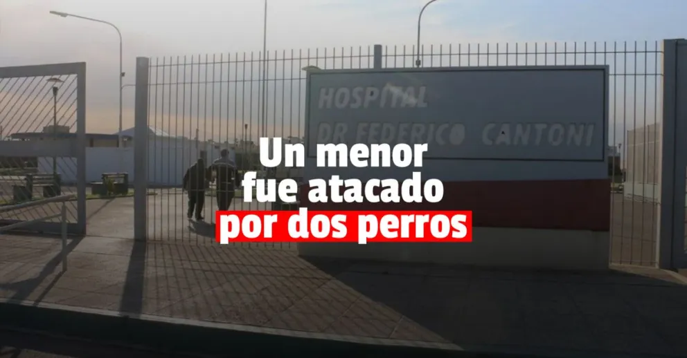 Un niño fue mordido por dos perros en la calle