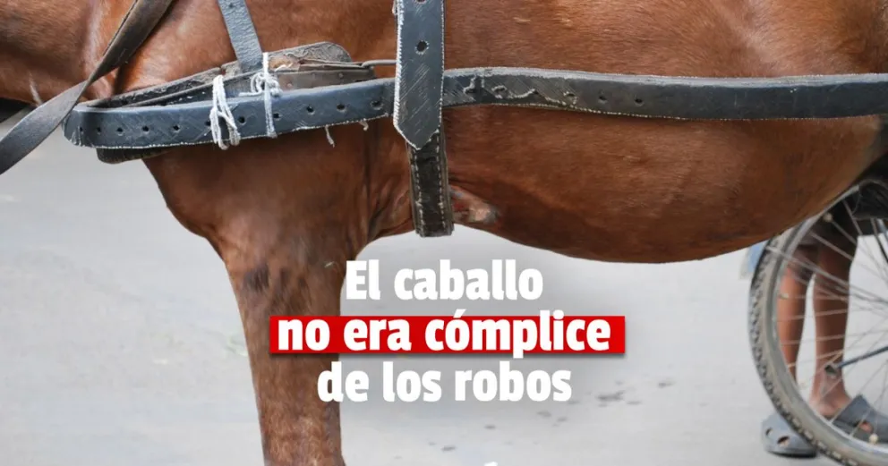 Salieron a robar en una carreta, la policía los detuvo y rescataron al caballo