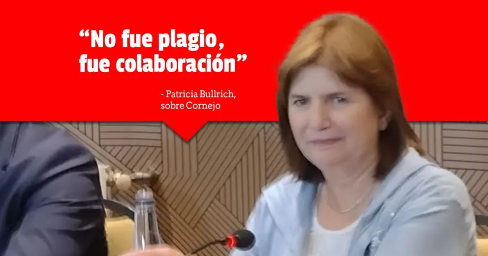 Patricia Bullrich explicó el sistema colaborativo de proyectos del PRO