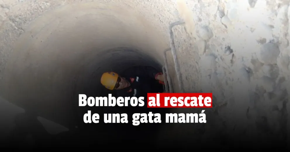 Los Bomberos Voluntarios de Pocito rescataron una gata preñada de un profundo pozo