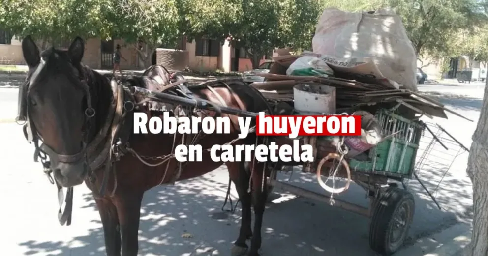 Detuvieron a los hermanos Zárate por robar $200.000 que estaban escondidos en una mamadera
