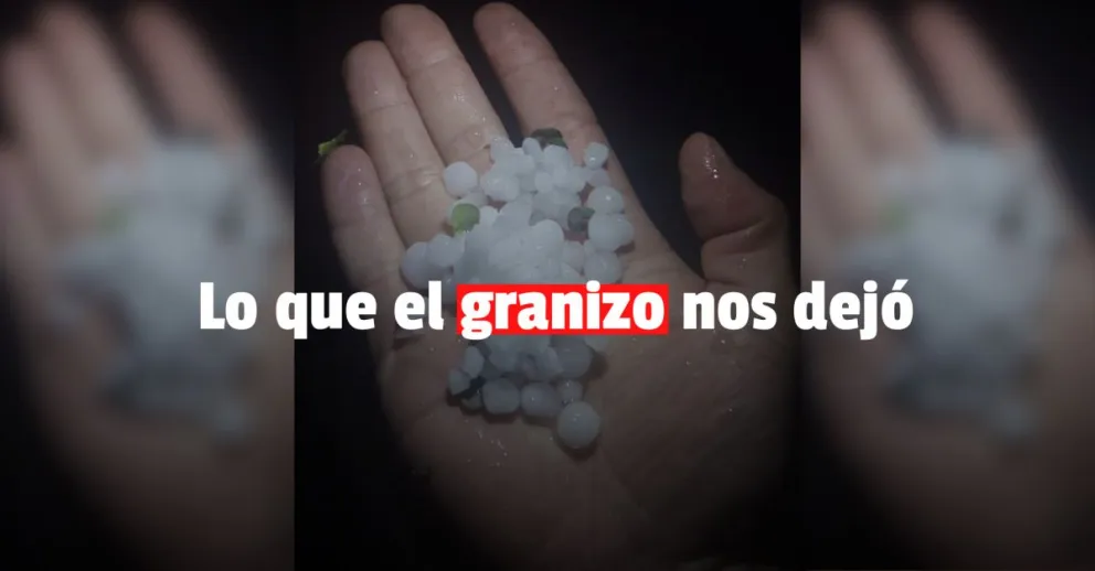 Realizarán un relevamiento para ver si hay familias afectadas por la tormenta