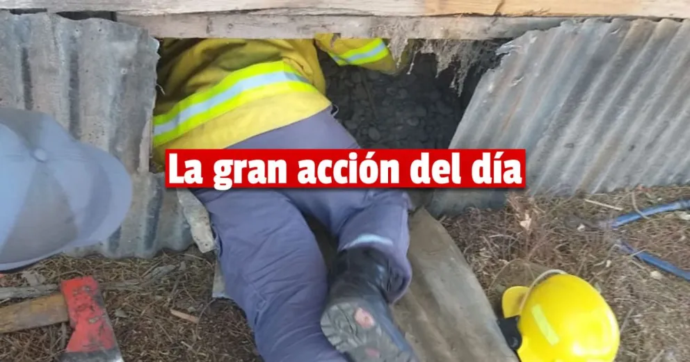 Bomberos Voluntarios rescataron a un gato atrapado en la ex estación del ferrocarril